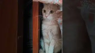 Я за вами наблюдаю