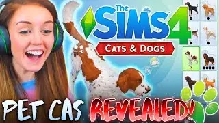 🐶🐱CREATE A PET REVEALED!?🐶🐱 Breeds,  CAS traits & MORE! 🙌😊 (The Sims 4 Cats & Dogs)