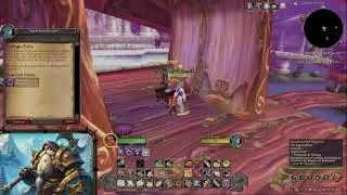 Turtle WoW Dwarf Paladin Hardcore Adventures