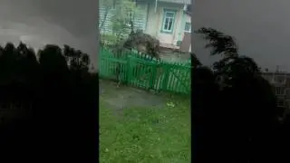 ураган в москве 29 мая 2017