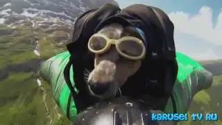 Funny videos, Убойный юмор