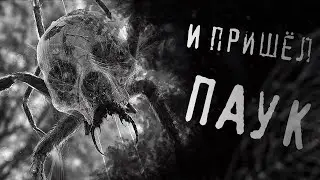 И ПРИШЁЛ ПАУК... | Страшные Истории На Ночь