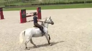 Zon et Victor