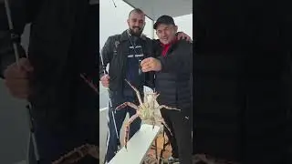 Владивосток. Май 2022 г.
