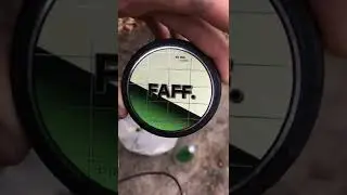 Мухоморы 🍄 лес 🌳