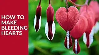 How to Make Bleeding Hearts in Minecraft