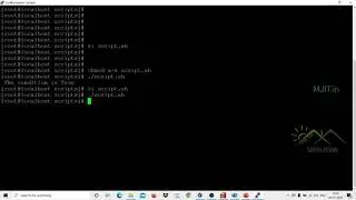 UNIX Bash scripting | if condition