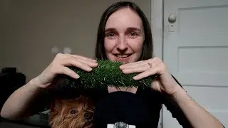 Practicing My ASMR Sounds With ZOOM Mic - Kiki Crashes The Video ^_^