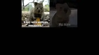 ну ладно