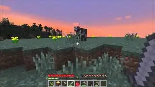 Minecraft LP#1