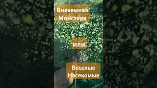 Скелеты живых растений! Кто-то не плохо покушал! #деревня #монстера #природа #nature #shorts #шортс