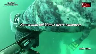 TAŞALTI LEVREK AVLARI