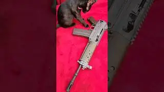 Swiss SIG 553P LB
