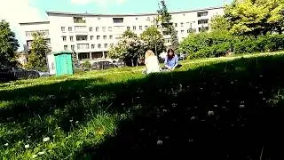 Видео-эссе 
