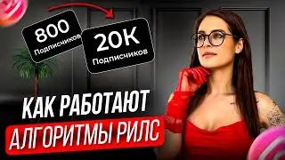 Как работают алгоритмы рилс?