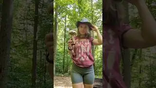 my first video from a couple years ago when I was in the 4runner 🤠 #mycology #vanlife #mushroom