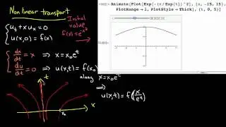 PDE 6 | Transport with decay and nonlinear transport