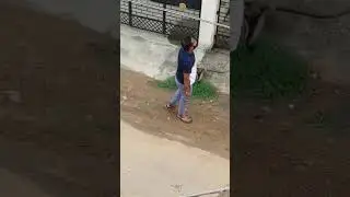 Munkey#shorts #shortvideo