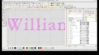 Wilcom e4.5 Team Names with Andrea Bommarito