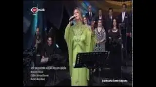 Seher  Dilmaç Meriç - Sen Saçlarıma Koşan Aklar Gibisin