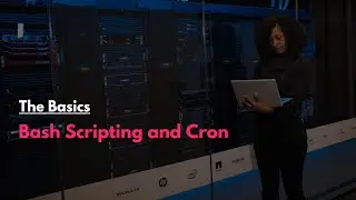 Learn the basics of Bash Scripting and Cron
