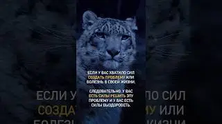 У вас есть силы решить свои проблемы ♥️ #мышление #силамысли #самопрограммирование #психологонлайн