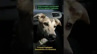 9 августа 2024 г.