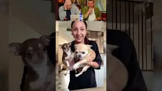 ЗАСМЕЯЛСЯ - ПОДПИСАЛСЯ! Ч54😅  СМЕХ С ВОДОЙ!