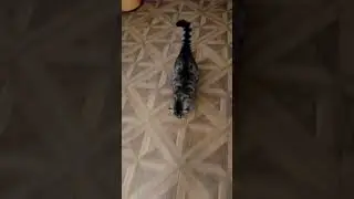 7 октября 2023 г.
