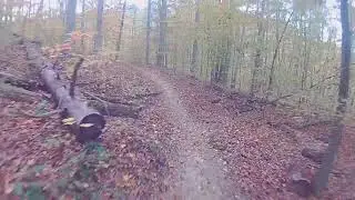 Pulaski County Park Low Line trail descent