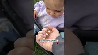 ЭТО ЛИ НЕ СЧАСТЬЕ? #семья #детки #лето #детство