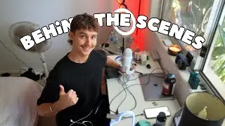 ASMR but your a Fly on my wall 🦟