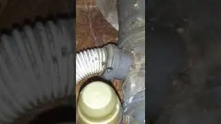 Паук запутал муху в паутине