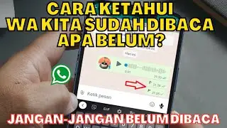 WA CHAT ALWAYS SEE 2 GREY TICKS? | HOW TO KNOW IF THEY HAVE READ OUR WA CONTACTS OR NOT?