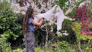 How to Protect Plants from a Late Spring Frost