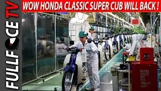 WOW Honda Classic Super Cub Models Will Back