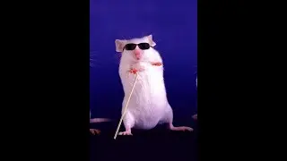 2 часть выживания с другом майнкрафт