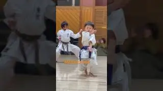 Heian nidan#kata #karate #空手 #cool