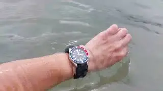 SEIKO Divers SKX009 in action