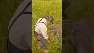O RECOMEÇO NO OESTE - RED DEAD REDEMPTION 2 - PT13 #Shorts