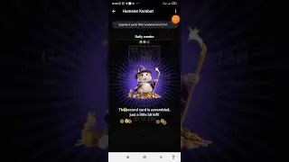 unlocking hamster Kombat combo cards on 30 May, 2024 #hamster #not #cold #ton #tap #cat