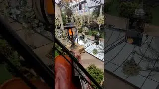 Tema do Pequeno Príncipe