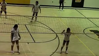 Amira vb1