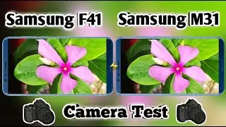 Samsung Galaxy F41 vs Samsung Galaxy M31 Camera Test | Galaxy F41 Camera
