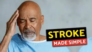What is a Stroke? | Health Made Simple (Medical Conditions Explained)