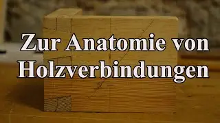 Zur Anatomie von Holzverbindungen (und was die Kollegen sagen)