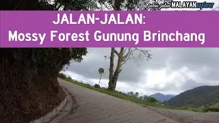 JALAN-JALAN: Kea Farm ke Mossy Forest Gunung Brinchang