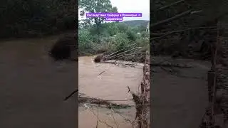 После тайфуна. Приморский край, п. Сиреневка