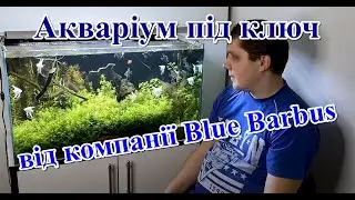 Акваріум під ключ від компанії Blue Barbus