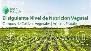 Nutri Haitech (Español)